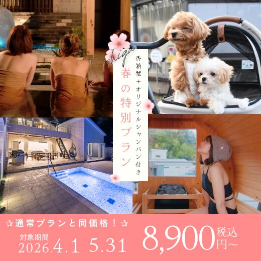 春の特別プラン販売中！